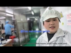 محول غشاء بي تي مخصص للمعدات الطبية والتطبيقات الصناعية